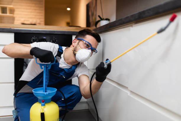 Best Affordable Pest Control Services  in Nsfield Center, MA