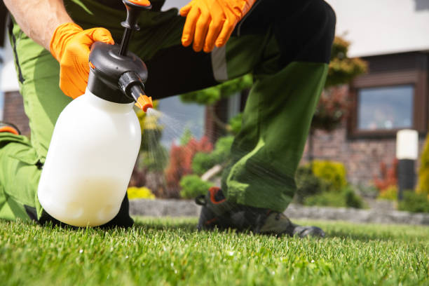 Best Pest Removal Services  in Nsfield Center, MA