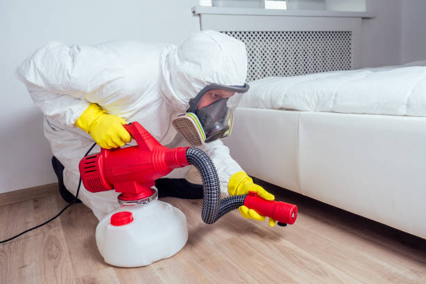 Best Pest Prevention Services  in Nsfield Center, MA