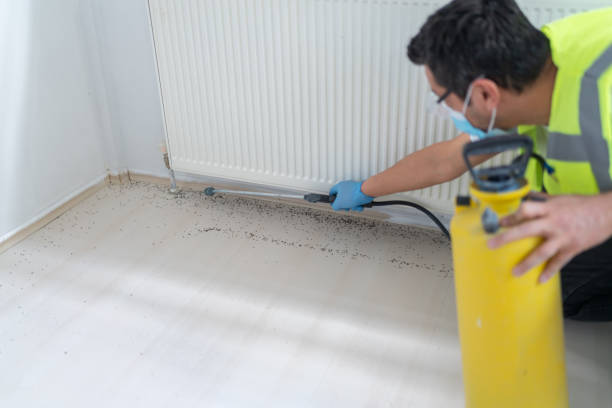 Best Emergency Pest Control  in Nsfield Center, MA