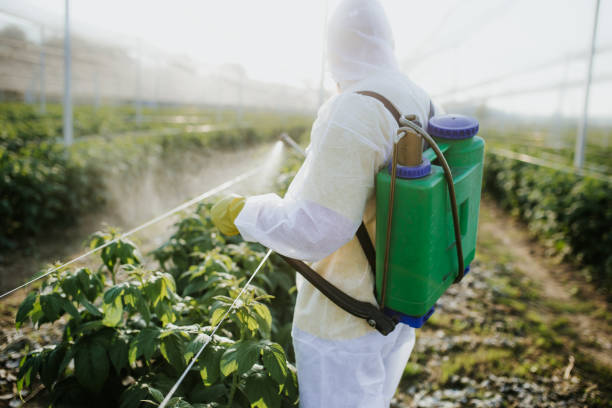 Trusted Mansfield Center, MA Pest Control Experts